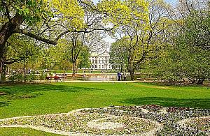 Rzecznik praw obywatelskich broni... psów w parku Krasińskich