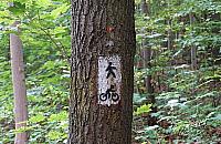 Zmiany w Lesie Bielańskim. Poprawiają oznakowanie czy likwidują ścieżki?