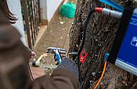 Duża wycinka na Bielanach. Usuwają drzewa zagrażające ludziom