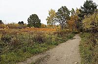 Przedłużenie Piastów Śląskich. Termin mija w grudniu, budowa nie ruszyła