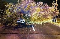 Wichura zwaliła na nią drzewo. Kobieta miała mnóstwo szczęścia