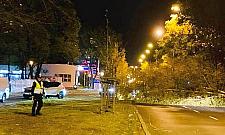 Wichura zwaliła na nią drzewo. Kobieta miała mnóstwo szczęścia