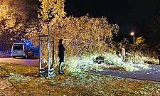 Wichura zwaliła na nią drzewo. Kobieta miała mnóstwo szczęścia