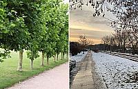 Więcej zieleni i nowe ławki na Dywizjonu 303. Co się zmieni?