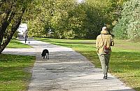 Park Wiecha niebezpieczny dla psów?