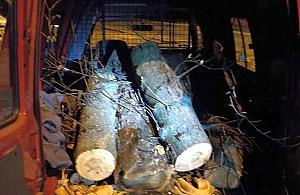 Ojciec i syn kradli drewno. Wpadli, bo zaparkowali na trawie