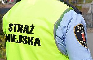 Wjechał w stragan na Powązkach. Grożą mu dwa lata więzienia