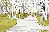 Paczkowska bez aut? Wypowiedziało się... 50 osób