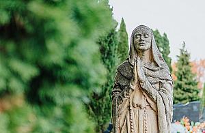 Zebrali 26 tysięcy na "białołęckie Powązki"