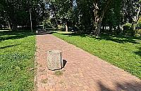 Wędrujące ławki i kosze w parku Wiecha. Co na to urzędnicy?