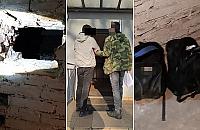 Kokaina ukryta w dziurze w piwnicy. Policyjny pies wpadł na trop