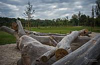 Plaża Romantyczna bez placu zabaw. Zarząd Zieleni: "Wystarczy uruchomić wyobraźnię"