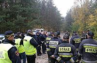 Poszukiwali w lesie 70-latki. Szczęśliwy finał akcji