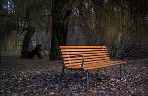 Dobre wieści dla seniorów. Dwieście nowych ławek w Warszawie