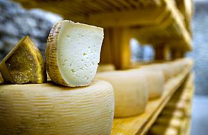 Policja zatrzymała złodzieja... serów. 66-latek okradł market