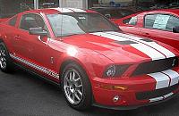 Chciał ukraść mustanga. Wpadł, bo zostawił DNA