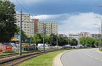 Bielany będą się wyludniać. Niekorzystna prognoza naukowców PAN