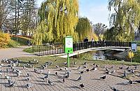 Kaczki na wypasie. Nowe kaczkomaty na Moczydle