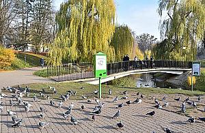 Kaczki na wypasie. Nowe kaczkomaty na Moczydle