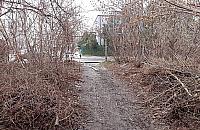 Popularny skrót po prywatnej działce. Ludzie korzystają i... śmiecą