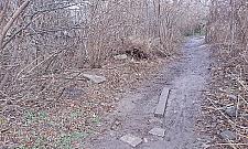 Popularny skrót po prywatnej działce. Ludzie korzystają i... śmiecą