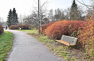 "666 ławek dla Warszawy". Część trafiła na Wolę