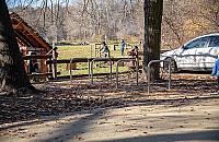 Aleja Lip na Młocinach po metamorfozie. "Jest pięknie"