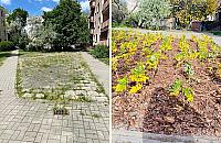 Mniej betonu, więcej zieleni. "Zazieleńmy wolskie osiedla"