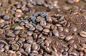 "Fusy po kawie idealne do posypywania chodników". Minął rok, wszyscy zapomnieli