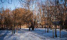 Drzewa zamiast parkingu. Nowy skwer gotowy