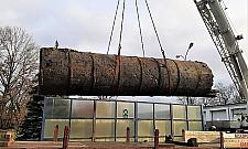 Drewniana rura sprzed 135 lat. Odkrycie na Bielanach