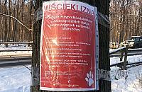 "Proszę o szczepienie kotów". Informacyjny chaos w sprawie wścieklizny