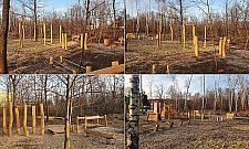 Nowy pomysł dla Falenicy: leśna "ścieżka zdrowia"