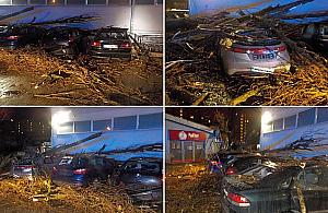 Wichura powaliła olbrzymie drzewo. Pięć samochodów zniszczonych