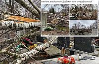 Cmentarz Bródnowski po wichurze: powalone drzewa, zniszczone nagrobki