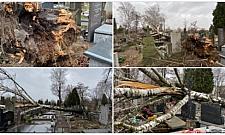 Cmentarz Bródnowski po wichurze: powalone drzewa, zniszczone nagrobki