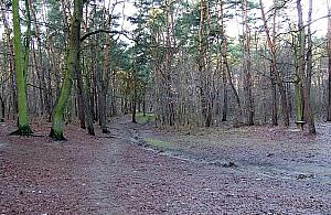 Potok Bielański nie będzie "zabytkiem". Konserwator odrzucił wniosek