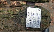 Strażnicy zatrzymali parę, która wzięła psychotropy. "Sprawiali wrażenie zagubionych"