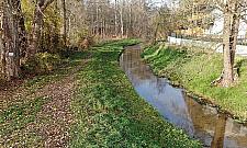 Zabudowa czy przyroda? Jaka jest przyszłość Zakola Wawerskiego?