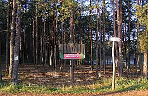 Nadchodzi leśna rewolucja. Płatny wstęp do Kampinoskiego Parku Narodowego