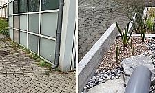 Nowy pomysł dla Bielan: ogrody deszczowe