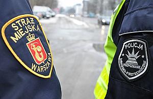 Właściciel psa i jego pupil trafili za kraty