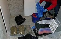 Mieszkaniec Legionowa mia� w domu trzy kilogramy marihuany