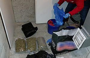 Mieszkaniec Legionowa miał w domu trzy kilogramy marihuany