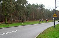 Dziesięć pięter przy Lindego. Nowy blok tuż obok lasu