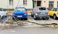 Wichura szaleje nad Warszawą. Służby wyliczają straty