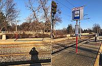 Bemowo czeka na wiaty na przystankach. "Nie chcemy stać w deszczu"