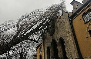 Drzewo przewrócone na pałacyk Szustra. Straż pożarna nie dała rady