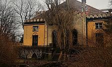 Drzewo przewrócone na pałacyk Szustra. Straż pożarna nie dała rady