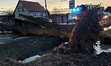 Wichura zrywała dachy, wyrywała drzewa. Tysiące interwencji w Warszawie